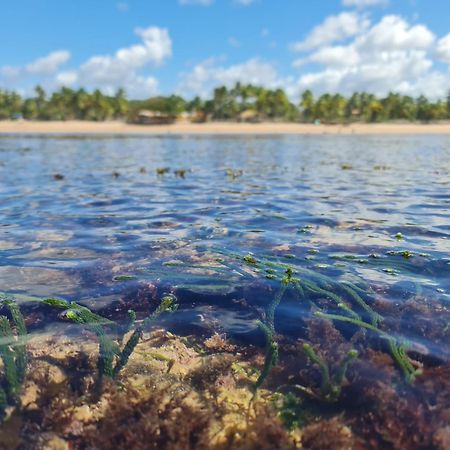 Laus Bangalos Experience - Piscina Privativa - Praia De Algodoes - Peninsula De Marau - Bahia Praia dos Algodoes Ngoại thất bức ảnh